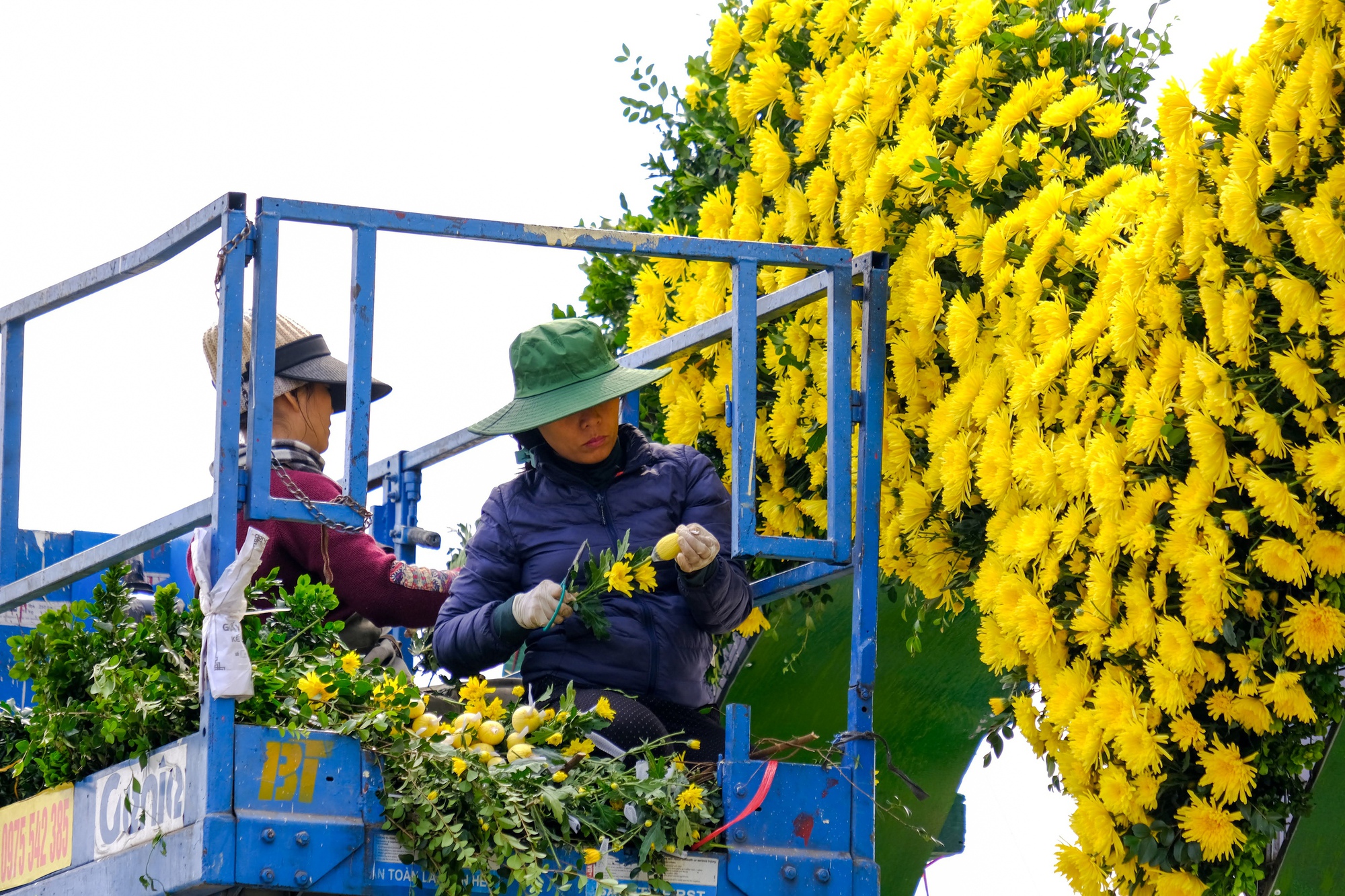 Festival hoa Mê Linh 2024 hứa hẹn sắc hoa rực rỡ và cơ hội du lịch mới - Ảnh 24.