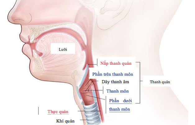 Một thiết bị trông giống máy đổi giọng nói của Conan, các nhà khoa học tạo ra nó làm gì vậy?- Ảnh 6.