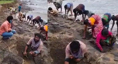 V&agrave;ng, trang sức tr&ocirc;i dạt v&agrave;o b&atilde;i biển, người d&acirc;n đổ x&ocirc; đi nhặt- Ảnh 1.