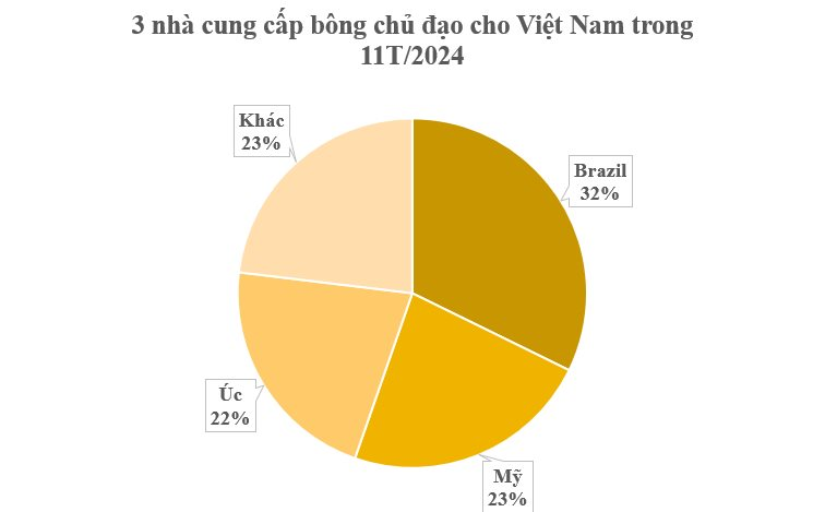 Hàng trăm nghìn tấn hàng từ Brazil đổ bộ Việt Nam với giá rẻ bất ngờ: Tiêu thụ đứng top 3 thế giới, nước ra chi hơn 2 tỷ USD gom hàng - Ảnh 3.