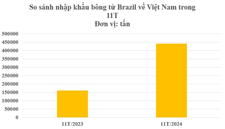 Hàng trăm nghìn tấn hàng từ Brazil đổ bộ Việt Nam với giá rẻ bất ngờ: Tiêu thụ đứng top 3 thế giới, nước ra chi hơn 2 tỷ USD gom hàng - Ảnh 2.