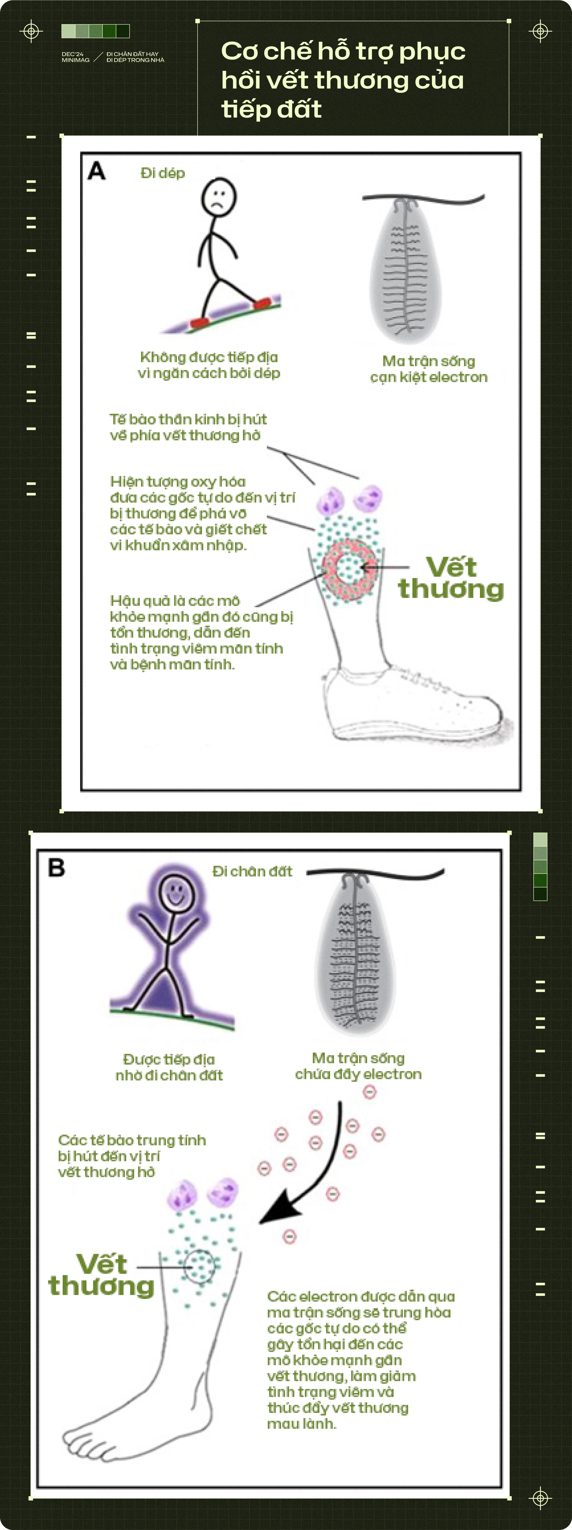 20 năm trôi qua, tôi chẳng còn thấy ai đi chân đất trong nhà, còn những đôi dép nhựa thì xâm chiếm cả thế giới- Ảnh 14. 20 năm trôi qua, tôi chẳng còn thấy ai đi chân đất trong nhà, còn những đôi dép nhựa thì xâm chiếm cả thế giới- Ảnh 14.