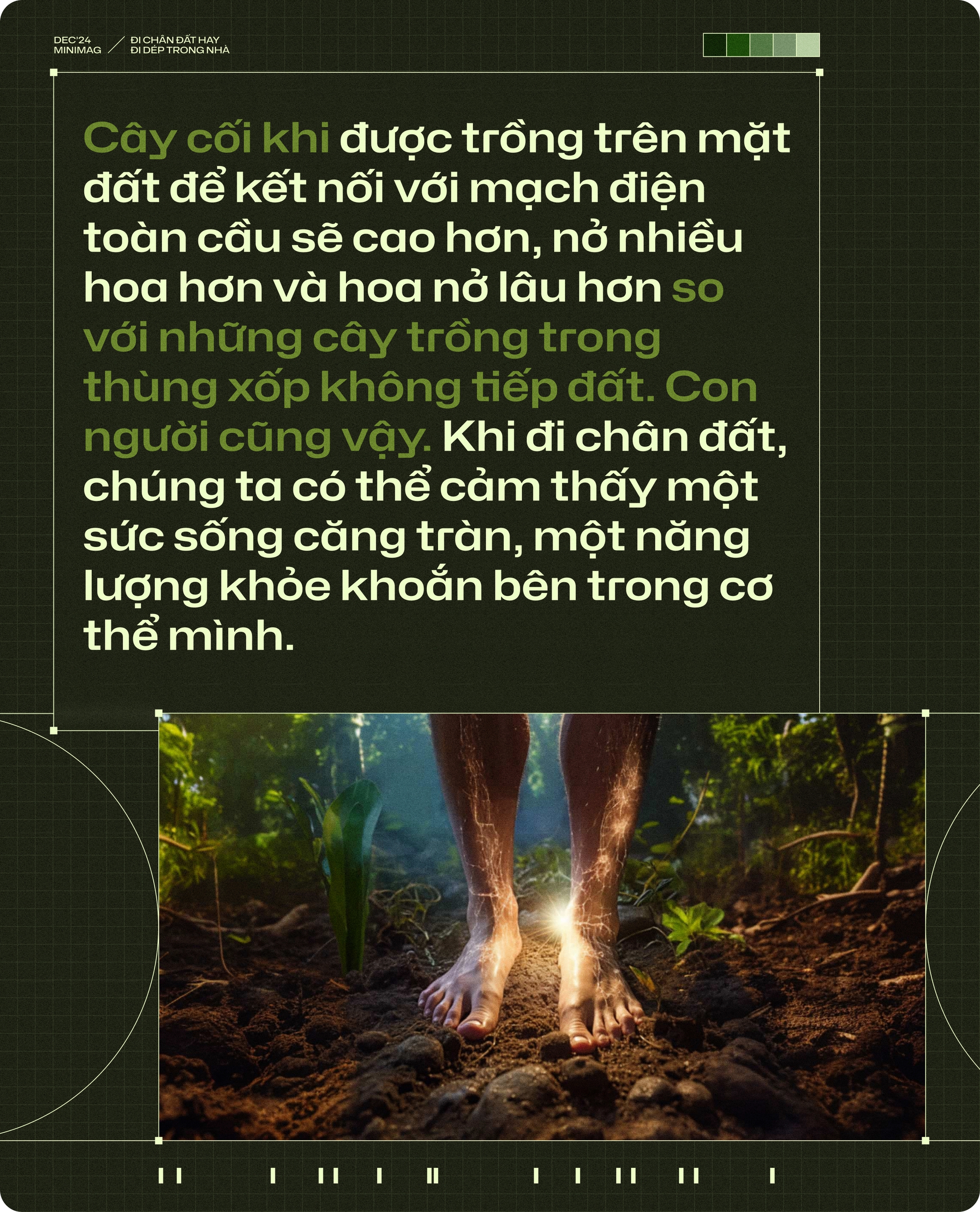 20 năm trôi qua, tôi chẳng còn thấy ai đi chân đất trong nhà, còn những đôi dép nhựa thì xâm chiếm cả thế giới- Ảnh 18. 20 năm trôi qua, tôi chẳng còn thấy ai đi chân đất trong nhà, còn những đôi dép nhựa thì xâm chiếm cả thế giới- Ảnh 18.