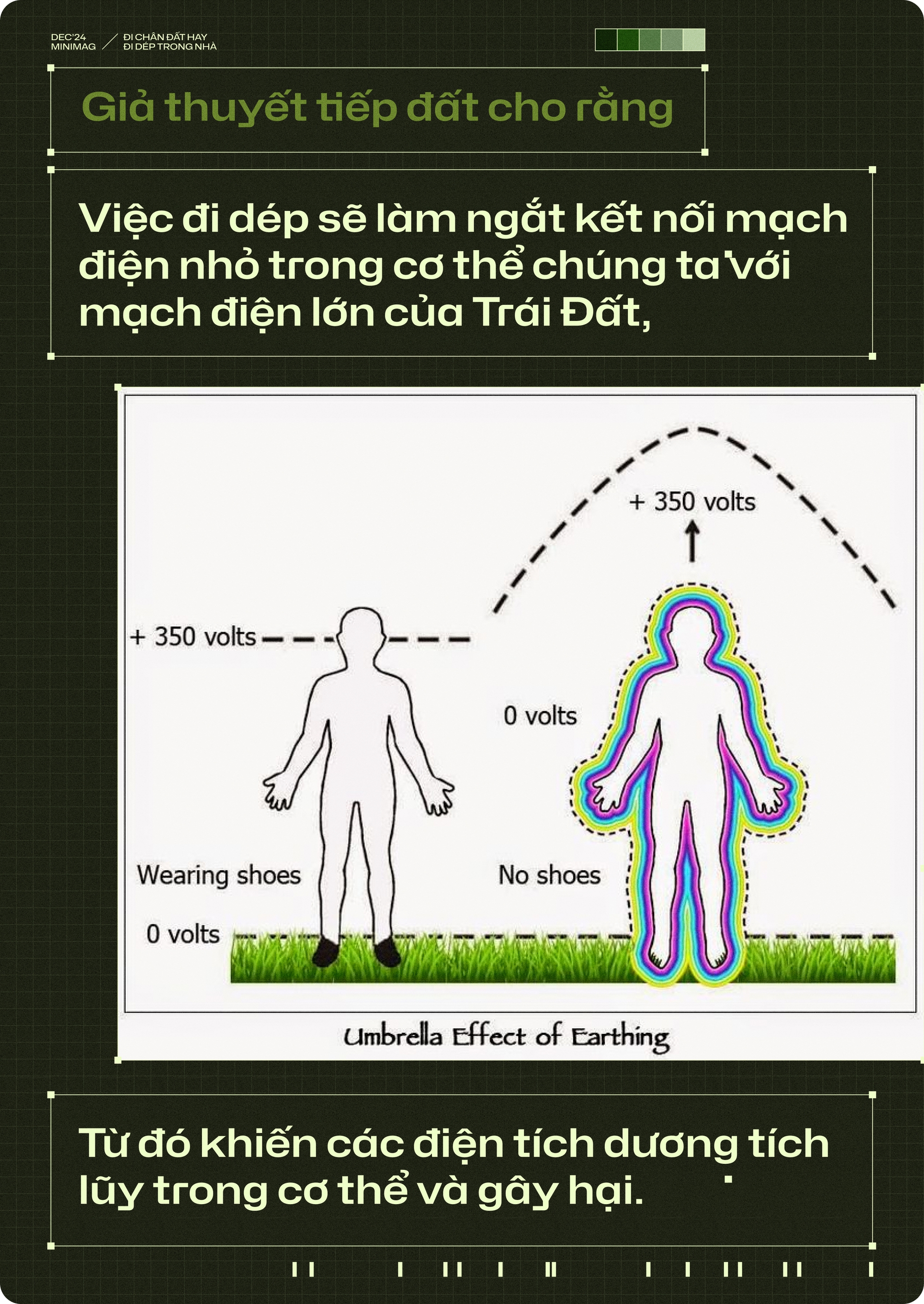 20 năm trôi qua, tôi chẳng còn thấy ai đi chân đất trong nhà, còn những đôi dép nhựa thì xâm chiếm cả thế giới- Ảnh 6. 20 năm trôi qua, tôi chẳng còn thấy ai đi chân đất trong nhà, còn những đôi dép nhựa thì xâm chiếm cả thế giới- Ảnh 6.