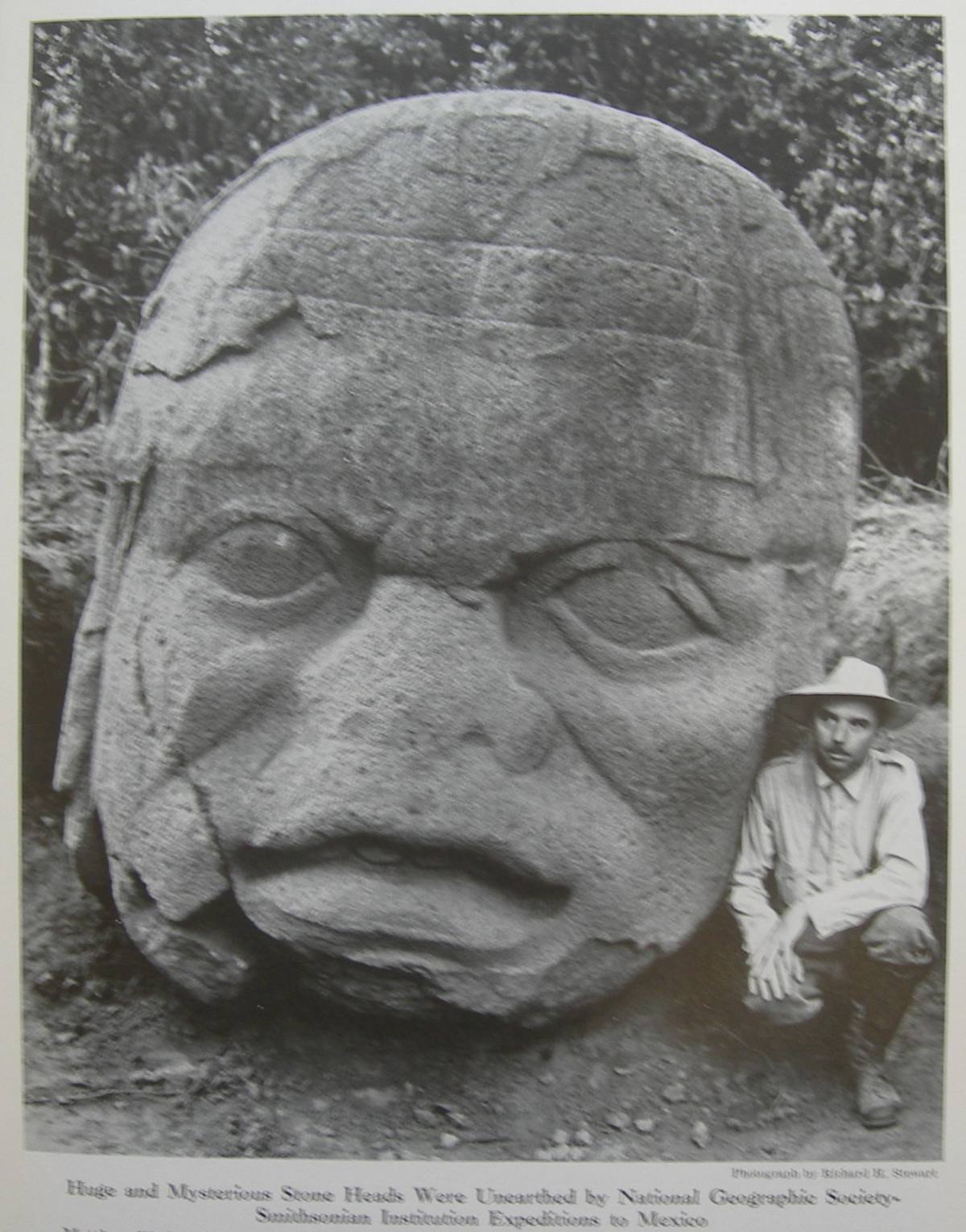 Tại sao những cái đầu khổng lồ của người Olmec là một trong những bí ẩn lớn nhất của khảo cổ học- Ảnh 1. Tại sao những cái đầu khổng lồ của người Olmec là một trong những bí ẩn lớn nhất của khảo cổ học- Ảnh 1.