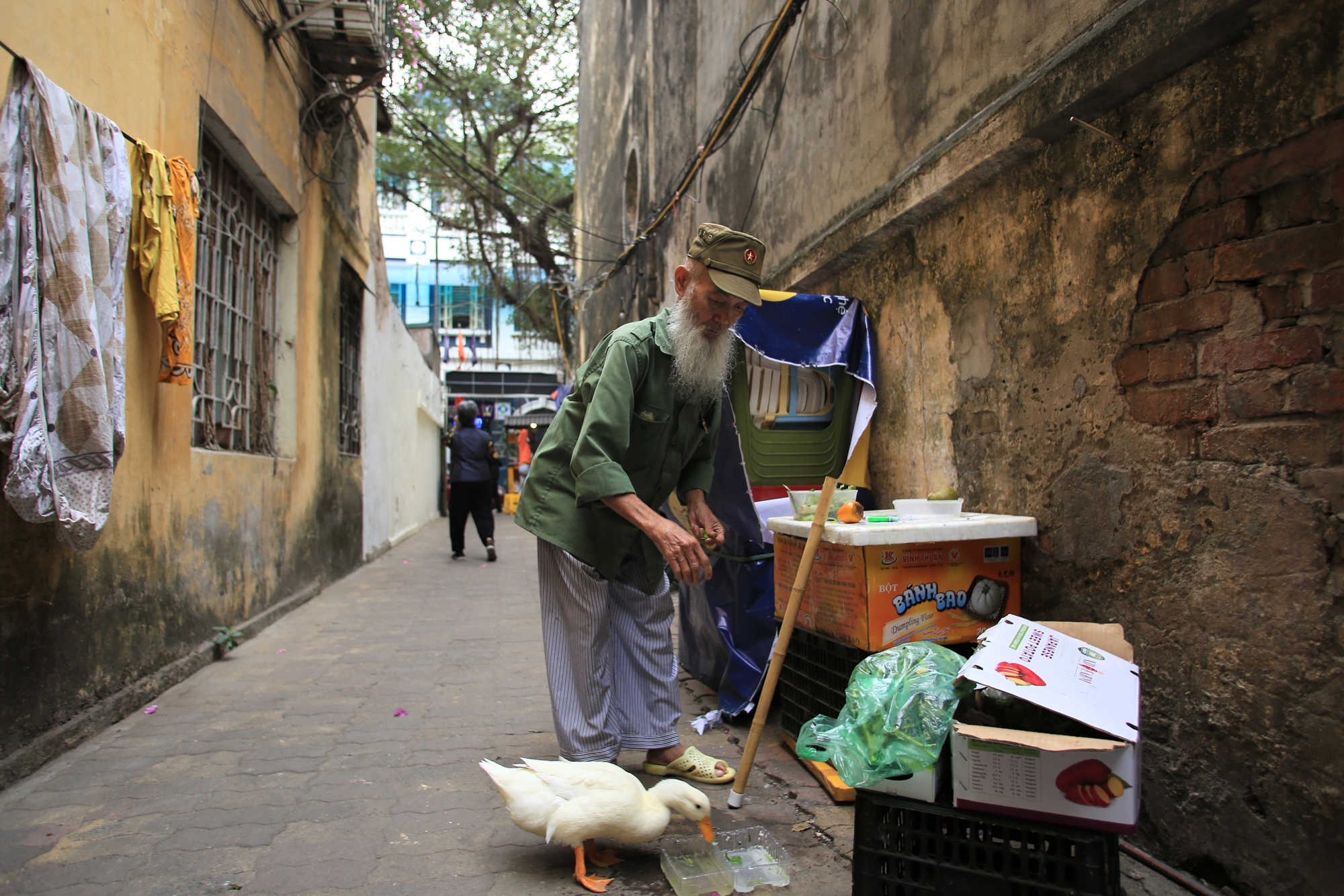 Ng&agrave;y đẹp trời đi dạo phố c&ugrave;ng &ocirc;ng l&atilde;o 61 tuổi v&agrave; "th&uacute; cưng" nổi tiếng nhất H&agrave; Nội: "Con Pạc Pạc nghe lời &ocirc;ng ấy răm rắp" - Ảnh 7.