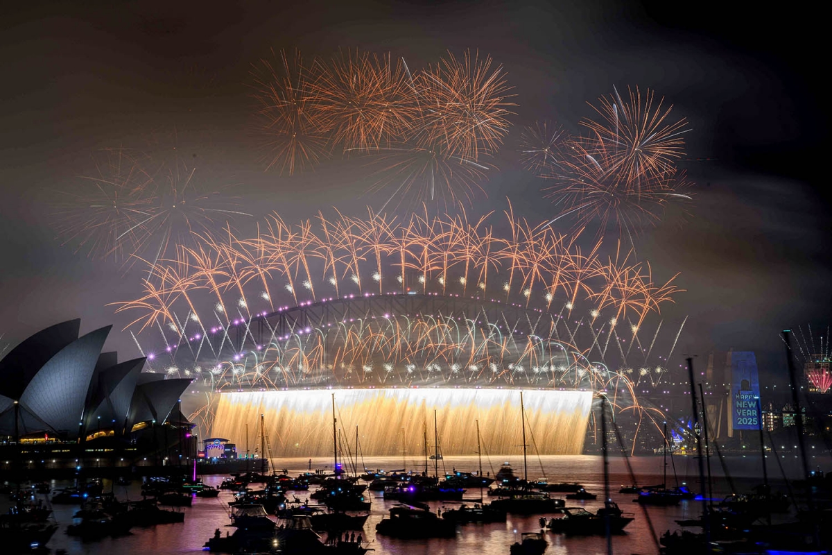  - Ảnh 4.