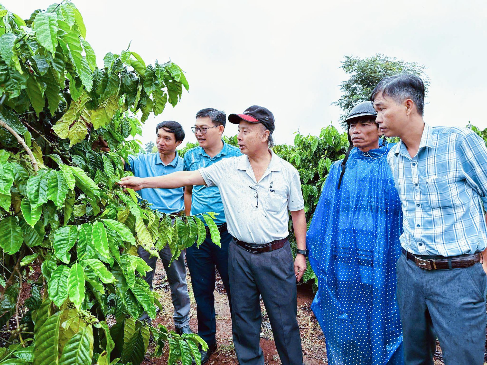 Với canh tác thông minh, Bình Điền cùng nông dân thu trái ngọt từ loại cây 6 tỷ đô - Ảnh 2.