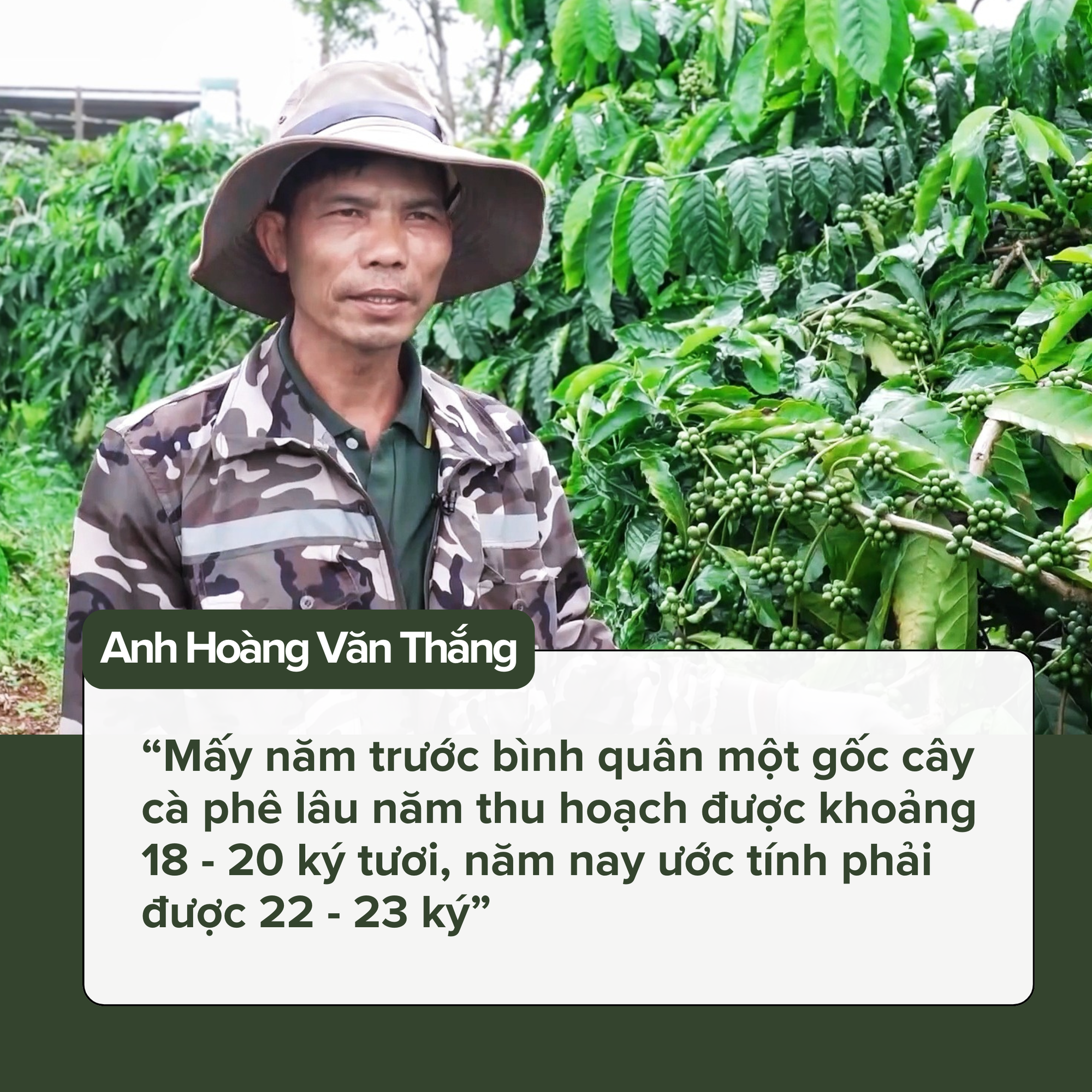 Với canh tác thông minh, Bình Điền cùng nông dân thu trái ngọt từ loại cây 6 tỷ đô - Ảnh 5.