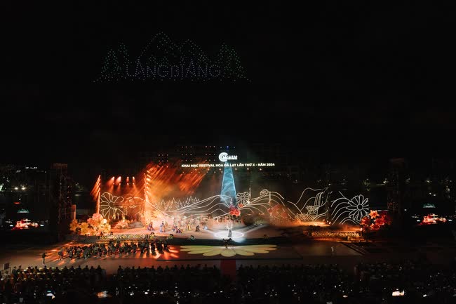 Lý do đạo diễn Phạm Hoàng Giang chọn hoa dã quỳ làm biểu tượng tại khai mạc Festival Hoa Đà Lạt- Ảnh 1.