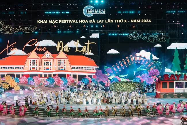 Lý do đạo diễn Phạm Hoàng Giang chọn hoa dã quỳ làm biểu tượng tại khai mạc Festival Hoa Đà Lạt- Ảnh 2.