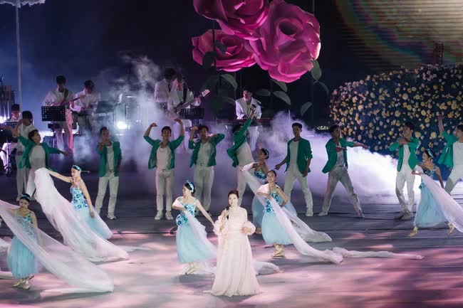 Lý do đạo diễn Phạm Hoàng Giang chọn hoa dã quỳ làm biểu tượng tại khai mạc Festival Hoa Đà Lạt- Ảnh 3.