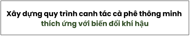 Với canh tác thông minh, Bình Điền cùng nông dân thu trái ngọt từ loại cây 6 tỷ đô - Ảnh 1.