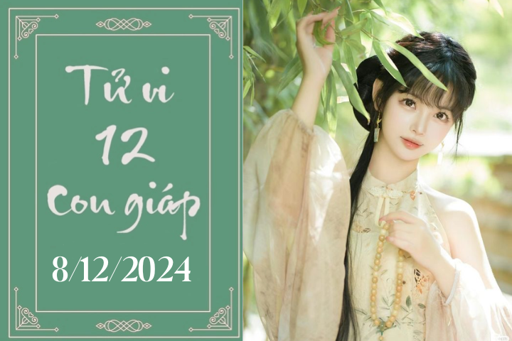 Tử vi 12 con giáp ngày 8 / 12 / 2024: Dự báo chi tiết - Ảnh 1.