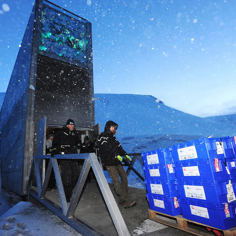 Địa điểm "an toàn nhất thế giới": Chỉ mở cửa 6 lần mỗi năm, là kho chứa của 1 triệu thứ này - Ảnh 2. Địa điểm "an toàn nhất thế giới": Chỉ mở cửa 6 lần mỗi năm, là kho chứa của 1 triệu thứ này - Ảnh 2.