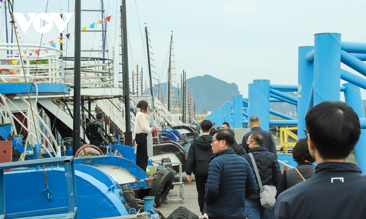 Hàng nghìn khách quốc tế “xông đất” vịnh Hạ Long trong ngày đầu năm- Ảnh 8.