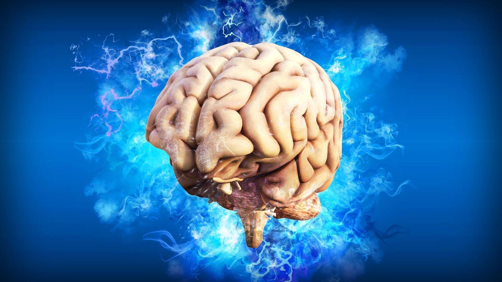 Các nhà khoa học Nga phát triển ‘bộ não mini’ để nghiên cứu nhận thức con người- Ảnh 1.