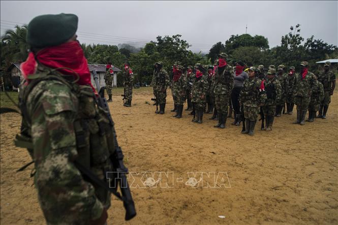 Colombia: Nhóm vũ trang ELN tuyên bố 'tấn công vũ trang' bất chấp thỏa thuận ngừng bắn- Ảnh 1.