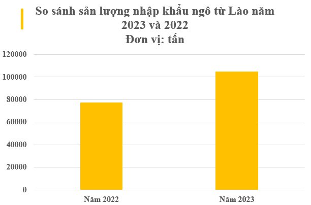 Lào tăng xuất khẩu trăm nghìn tấn loại mặt hạt này sang Việt Nam - là mặt hàng giá trị ngày càng tăng, VN nhập khẩu top 5 toàn cầu- Ảnh 2.