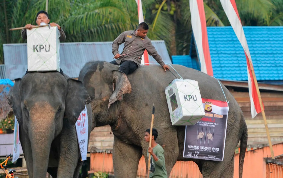 Indonesia dùng bò, voi, thuyền để đưa phiếu bầu đến tay cử tri nơi xa xôi- Ảnh 2.