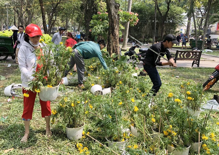 Đập bỏ hoa chiều 30 Tết: Cay cú, 'ăn vạ' người mua- Ảnh 1.