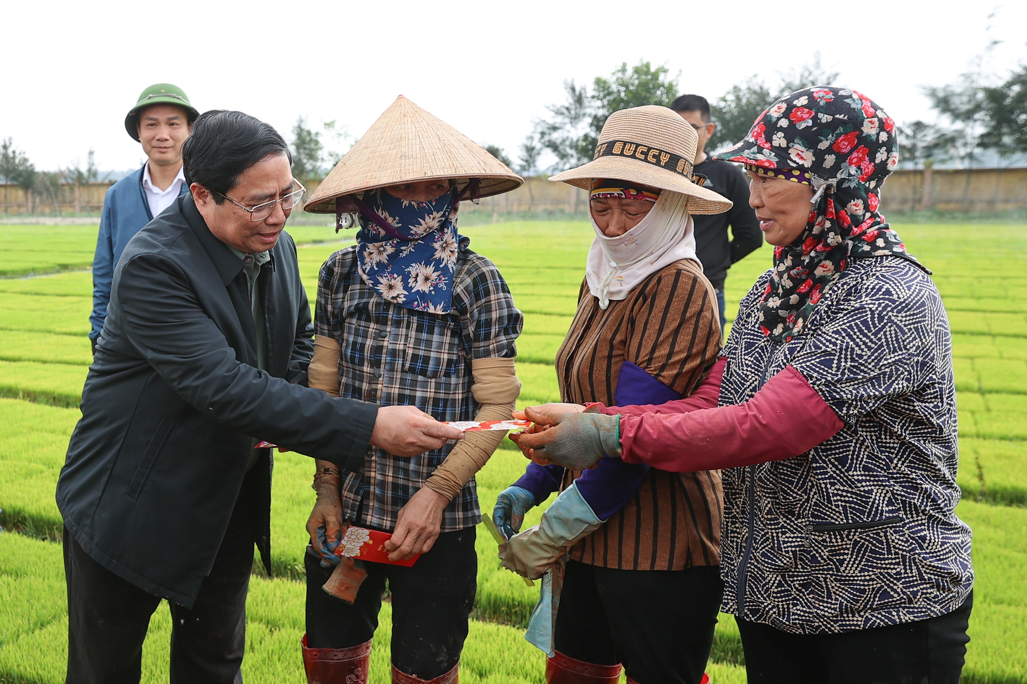 Thủ tướng Phạm Minh Chính cấy lúa, thu hoạch cà rốt cùng nông dân- Ảnh 7.