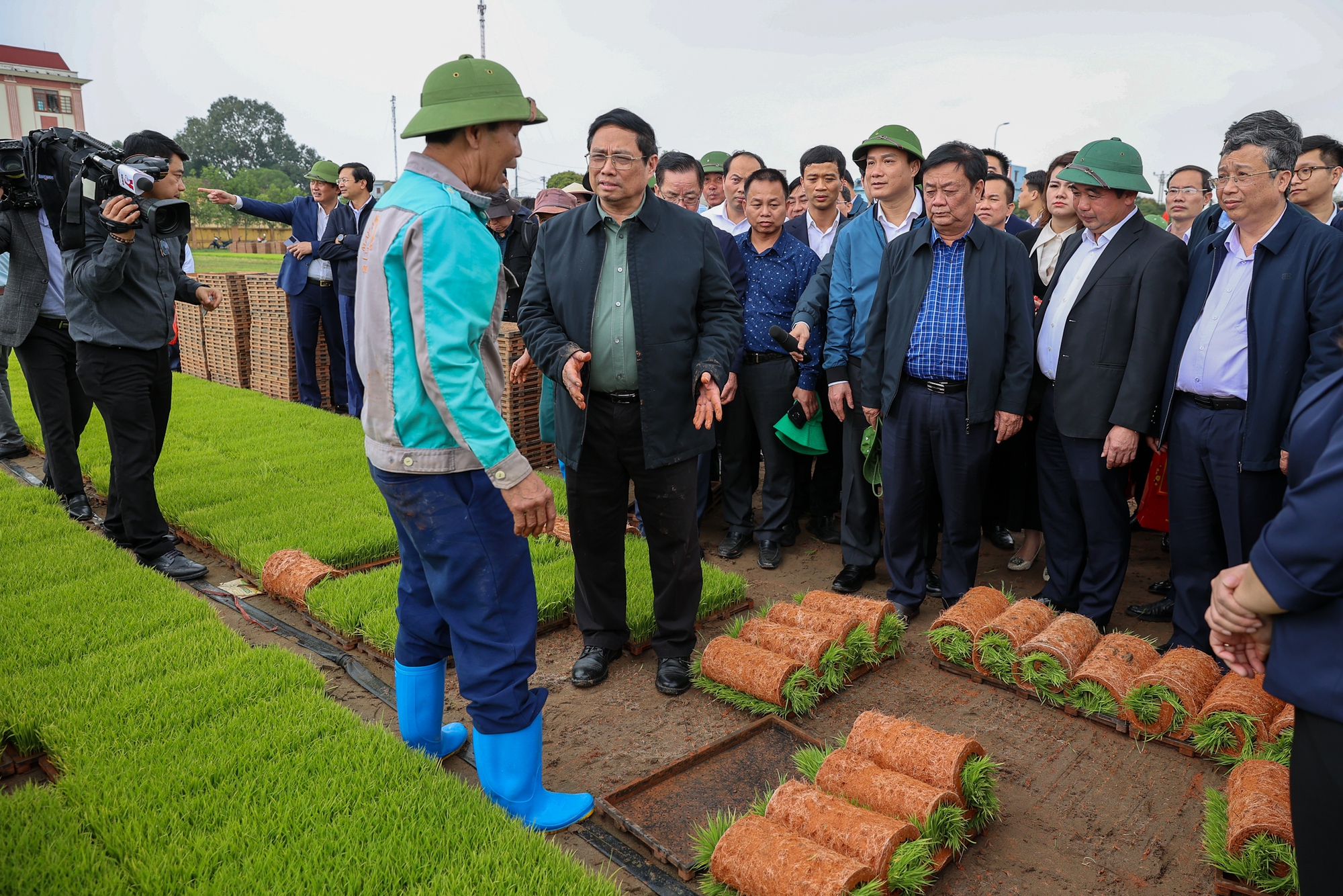 Thủ tướng Phạm Minh Chính cấy lúa, thu hoạch cà rốt cùng nông dân- Ảnh 2.
