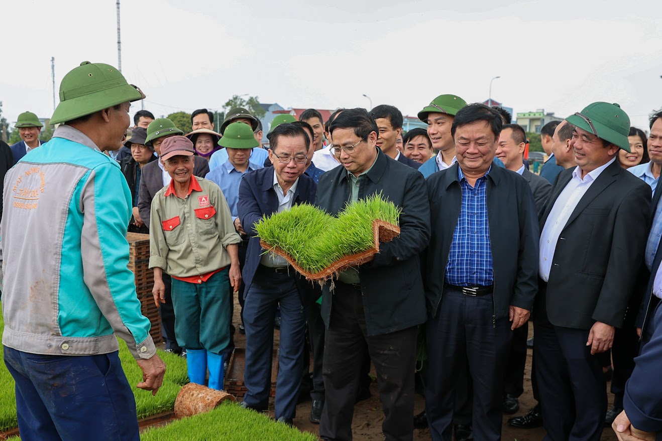 Thủ tướng Phạm Minh Chính cấy lúa, thu hoạch cà rốt cùng nông dân- Ảnh 1.