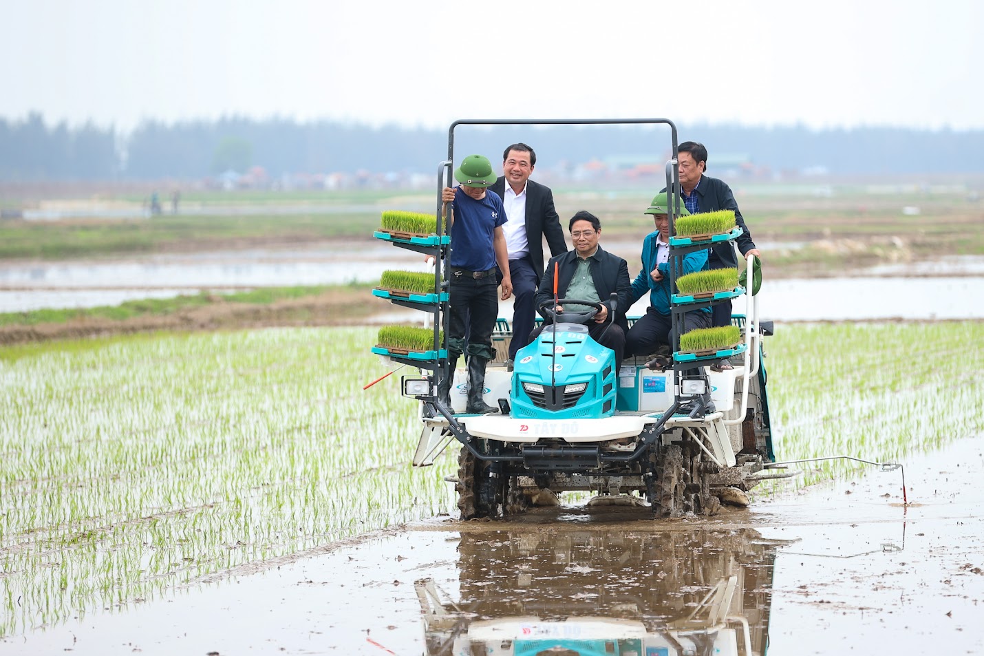 Thủ tướng Phạm Minh Chính cấy lúa, thu hoạch cà rốt cùng nông dân- Ảnh 4.