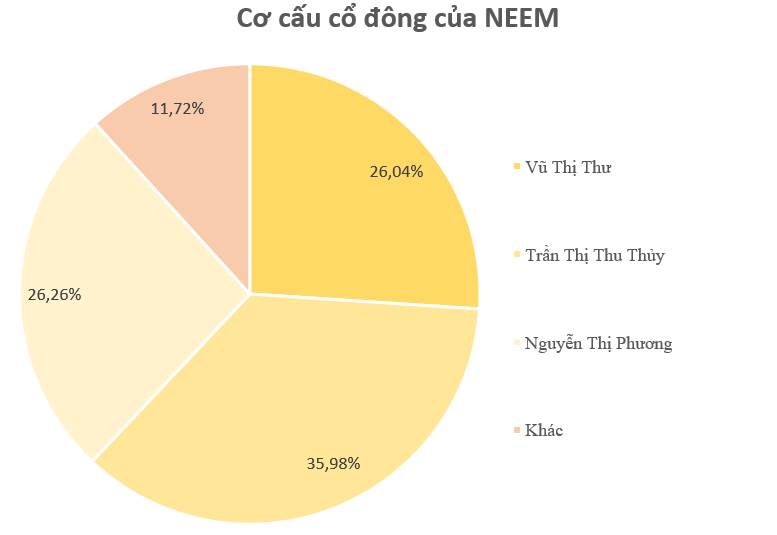 Mới lên sàn trong tháng 1,  bộ đôi doanh nghiệp có cổ phiếu tăng phi mã 400%-500% có gì đặc biệt?- Ảnh 7.