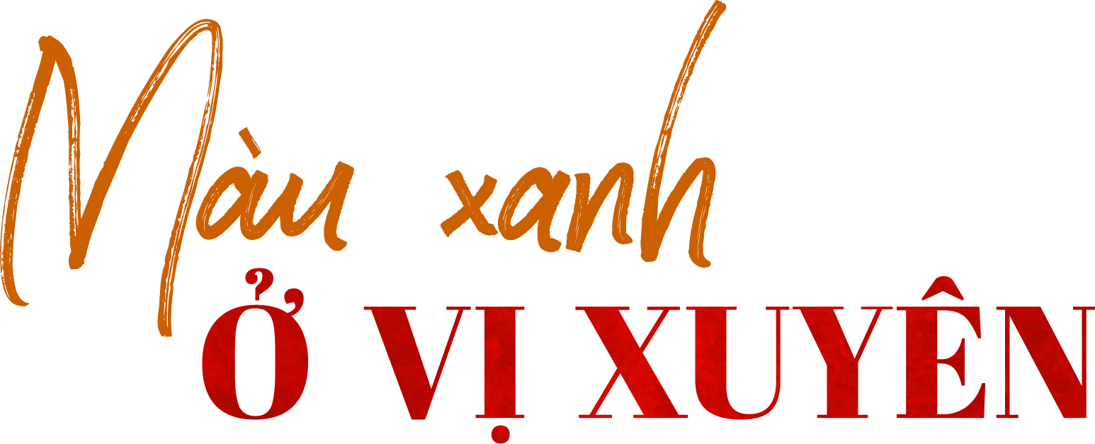 Ước vọng Vị Xuyên- Ảnh 7.