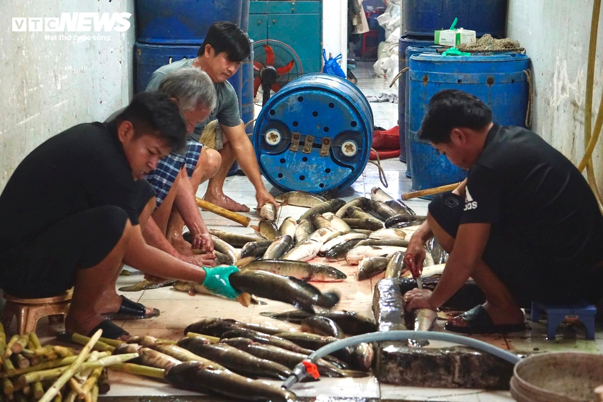 Quán vỉa hè thuê 40 người xuyên đêm nướng 4 tấn cá lóc bán ngày vía Thần Tài- Ảnh 2.