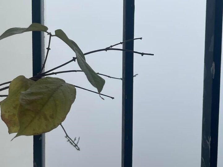 Dân mạng hào hứng ‘săn mây’ từ ban công Hà Nội- Ảnh 6.