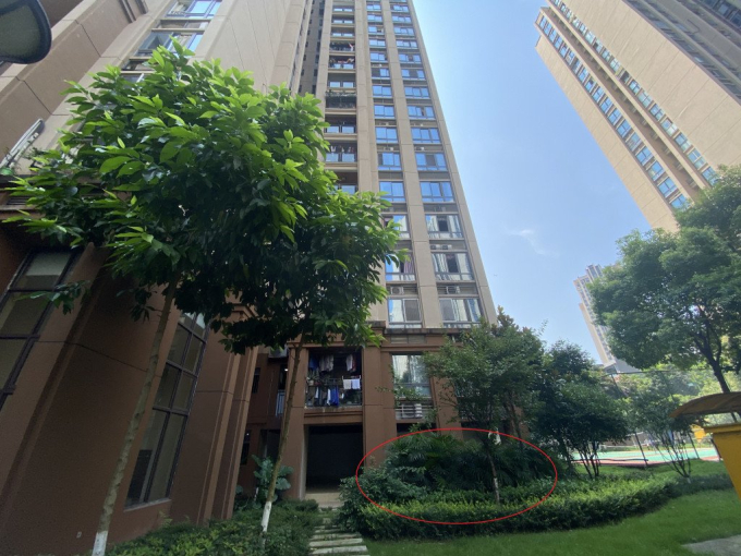 Đôi tình nhân máu lạnh trong vụ án "bố ném hai con xuống lầu" chính thức bị tử hình, mẹ trẻ nghẹn ngào: "Các con có thể yên nghỉ"- Ảnh 6.