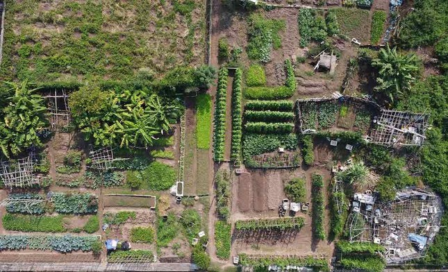 Hà Nội thông tin về Dự án Bệnh viện 1.000 tỷ đồng chậm tiến độ- Ảnh 1.