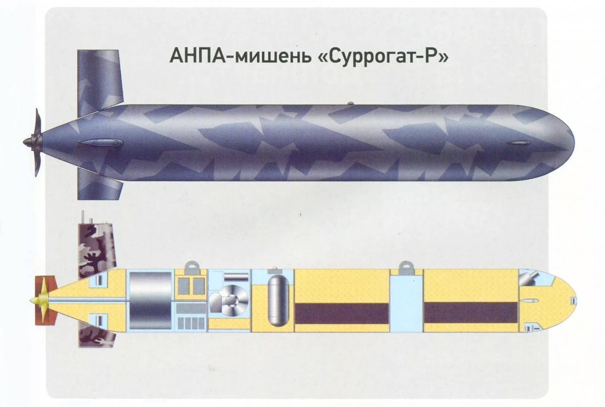 Surrogat-V - Phương tiện không người lái có khả năng giả tàu ngầm của Nga- Ảnh 3.