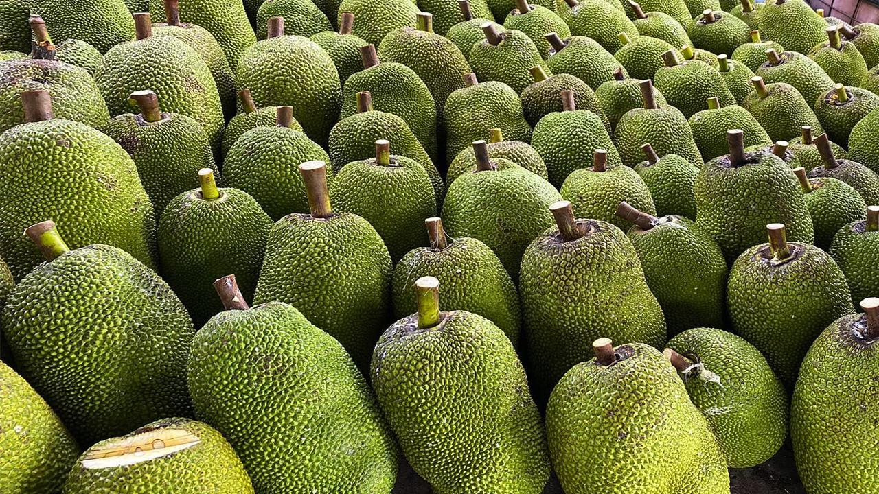 Loại cây ăn quả nhà nào cũng trồng ở Việt Nam ngày càng được người Trung Quốc 'chết mê chết mệt' - xuất khẩu tăng 3 chữ số, thu trăm triệu USD- Ảnh 1.