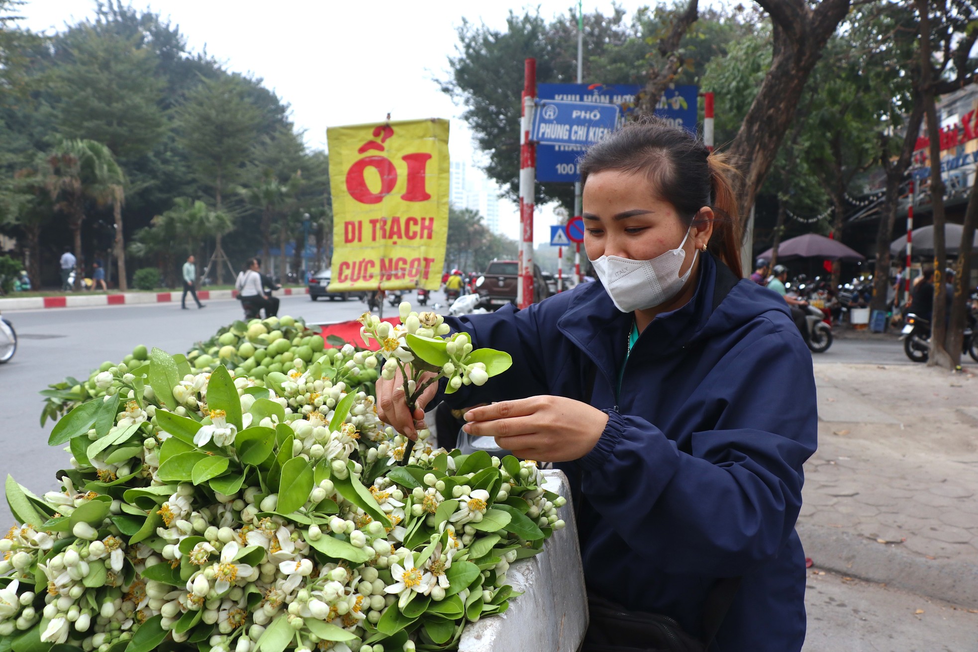 Hoa bưởi đầu mùa giá tới nửa triệu đồng/kg vẫn hút khách Hà Thành- Ảnh 5.