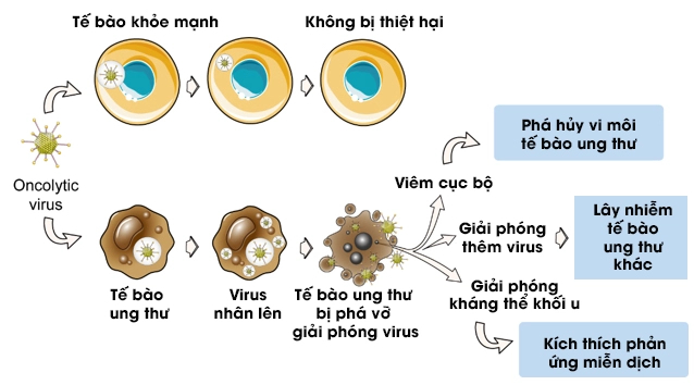 Virus không phải lúc nào cũng là kẻ phản diện, đây là 5 cách loài người 