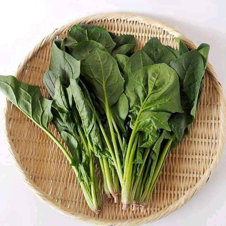 “Vua của các loại rau” được bán đầy chợ Việt, là “thuốc” hạ đường huyết tự nhiên, ngăn thiếu máu, ung thư- Ảnh 2.