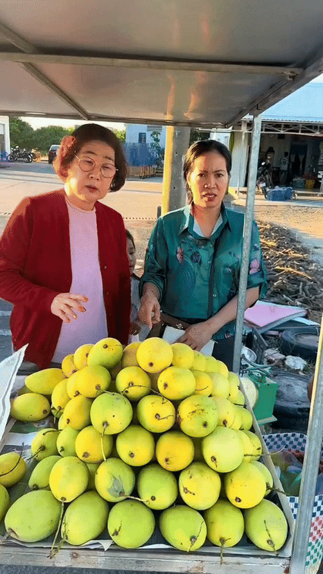 Mẹ chồng Hàn về quê con dâu miền Tây: Làm ngay chuyến food tour ngoài vườn trái cây, lên đồ bà ba hoà tan gấp- Ảnh 2.