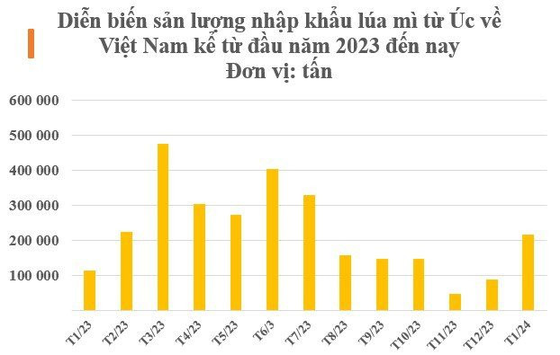 Úc bất ngờ tăng mạnh xuất sang Việt Nam một 'mỏ vàng' thế giới đang cực khan hiếm, Trung Quốc lục lọi khắp nơi để gom hàng- Ảnh 2.