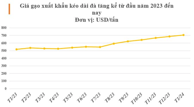 Xuất hiện 1 ‘cá mập’ mua gạo Việt với giá hơn 1.000 USD/tấn: Soán ngôi Trung Quốc trở thành khách hàng lớn thứ 2, nhập khẩu tăng hơn 16.000%- Ảnh 3.
