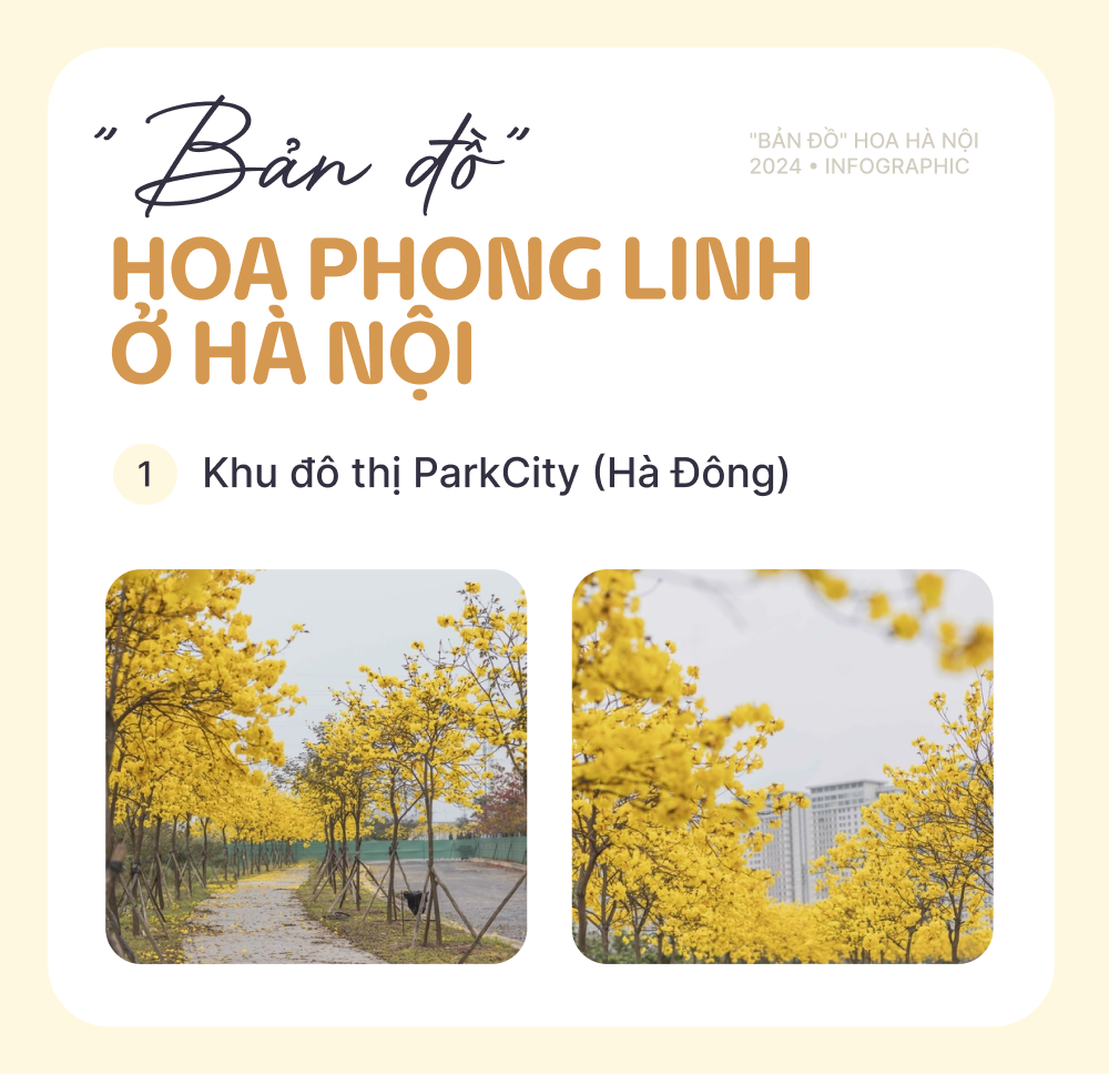 Có thể bạn thừa biết: Hà Nội mùa này hoa nở ngập lối nhưng chụp ảnh ở đâu cho đẹp?- Ảnh 11.