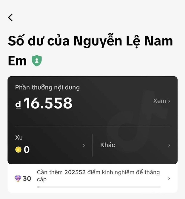 Nam Em trả giá đắt- Ảnh 2.