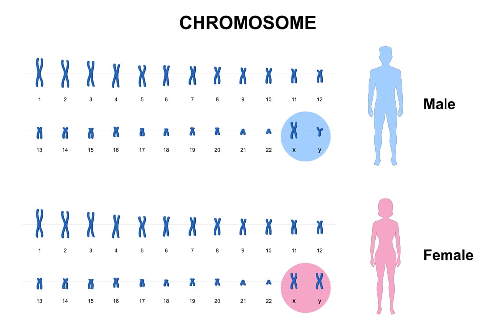 Hội chứng siêu nhân - Superman Syndrome - có thật sự biến một người bình thường thành siêu nhân?- Ảnh 2.