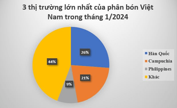Hàn Quốc bất ngờ săn lùng mặt hàng này của Việt Nam: Tăng hơn 1.000%, thu hơn 72 triệu USD chỉ trong 1 tháng, Campuchia, Philipines cũng mạnh tay gom hàng- Ảnh 3.
