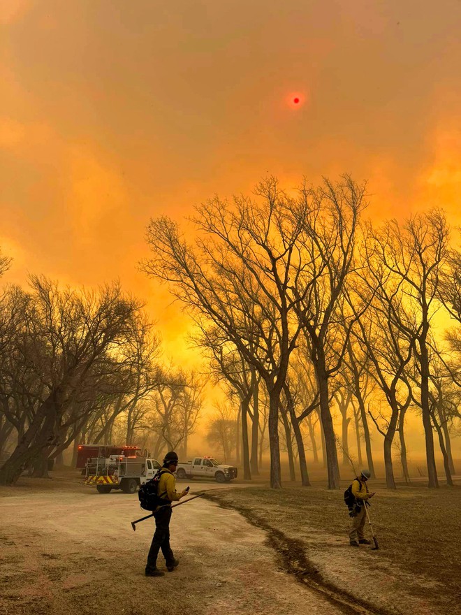 Cháy rừng tàn khốc tại Texas: Khói lửa bao trùm cả vùng trời, xót xa cảnh tượng động vật tán loạn thoát thân- Ảnh 1.
