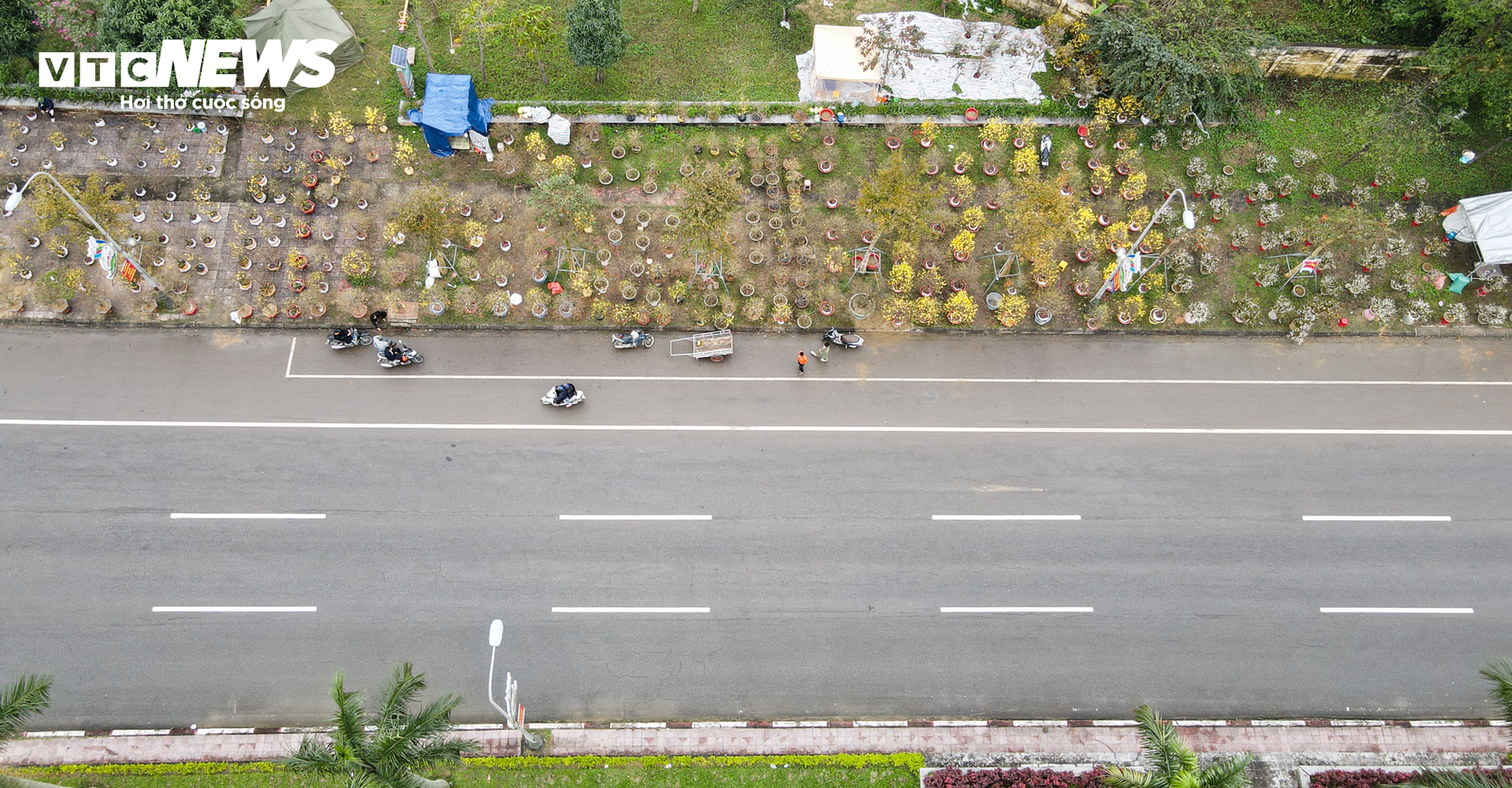 Tiểu thương ăn ngủ cùng hoa, mong khách đừng chờ 30 Tết mới mua cây- Ảnh 9.