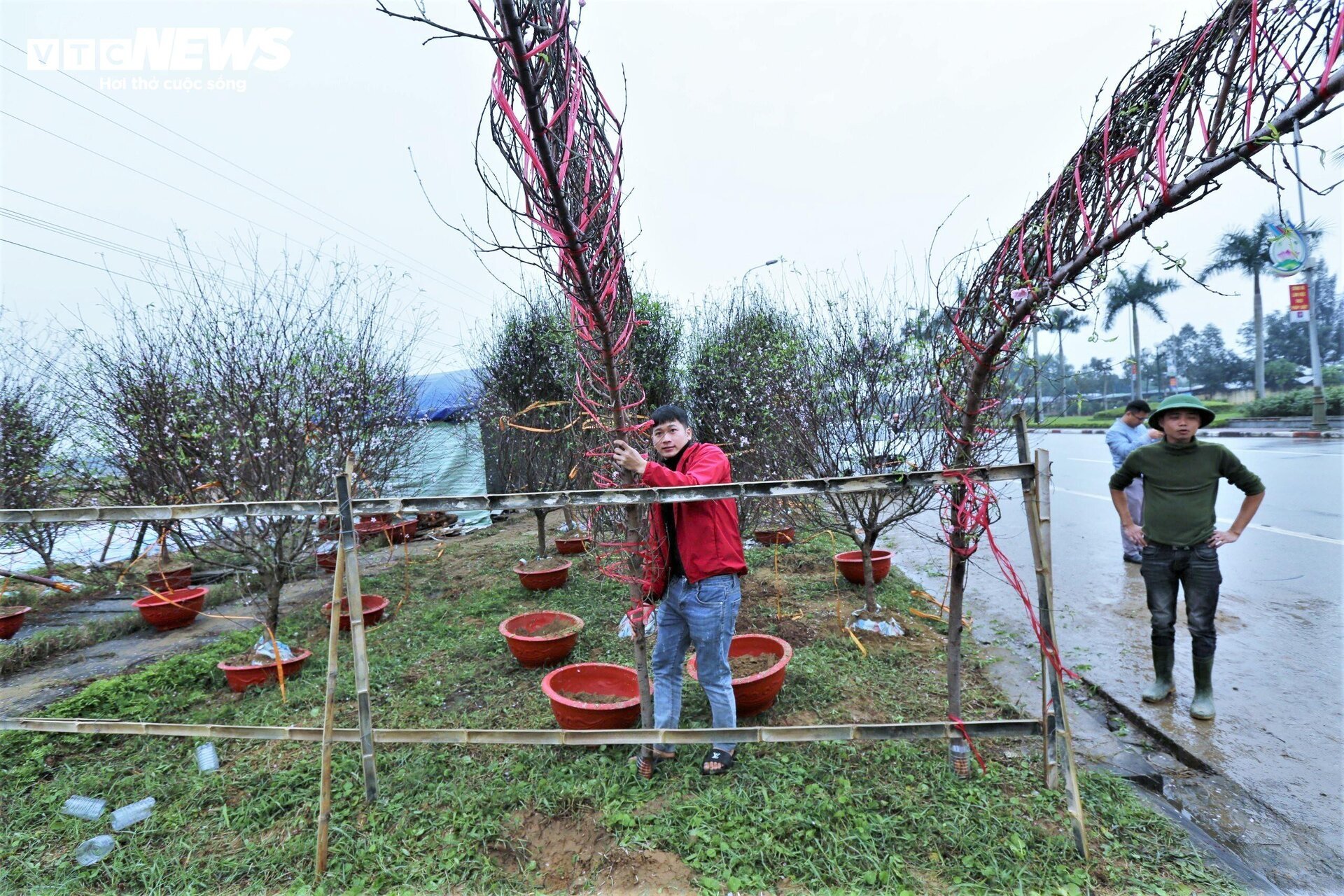 Tiểu thương ăn ngủ cùng hoa, mong khách đừng chờ 30 Tết mới mua cây- Ảnh 18.